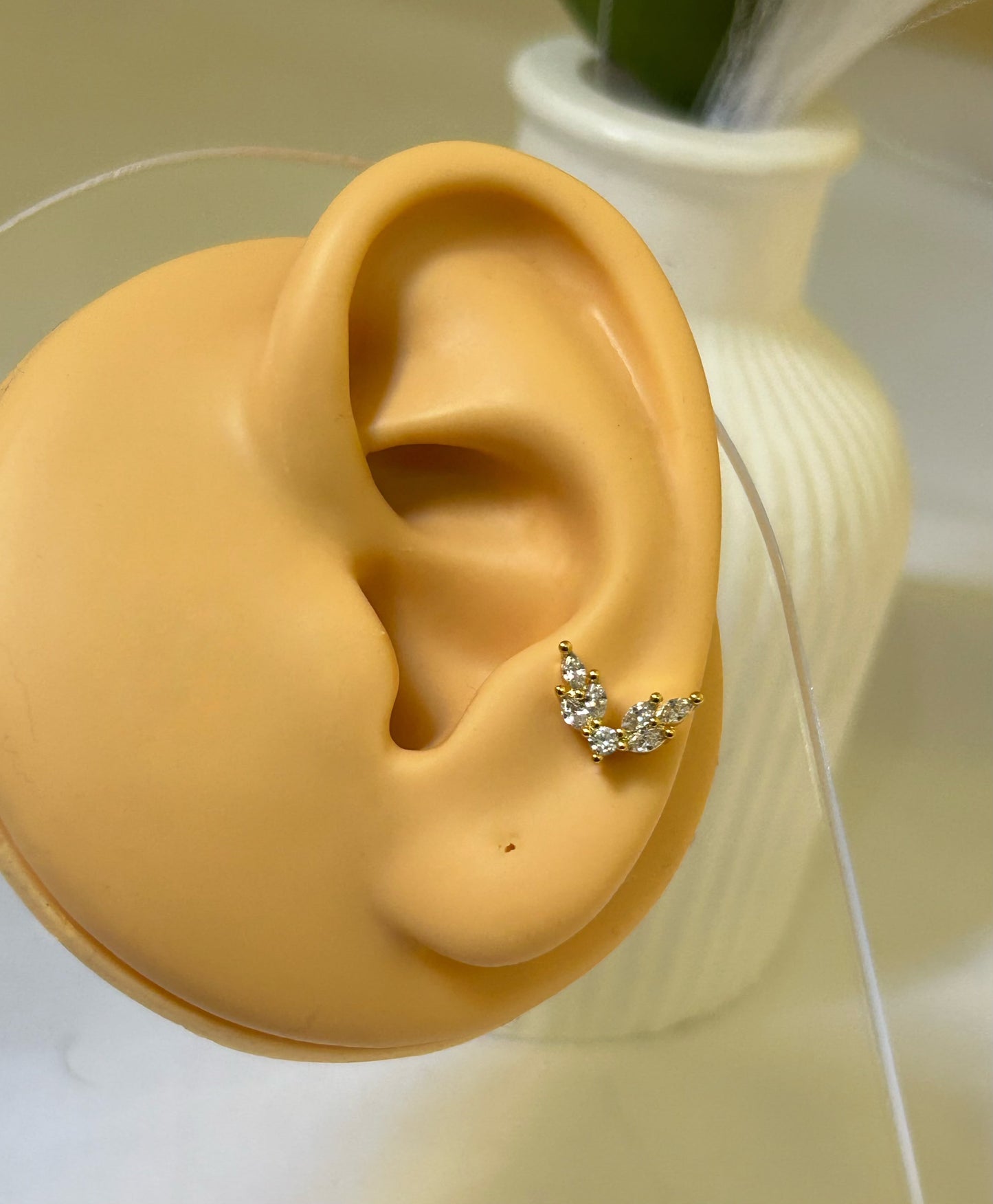Elegant Gazelle Horn Piercing