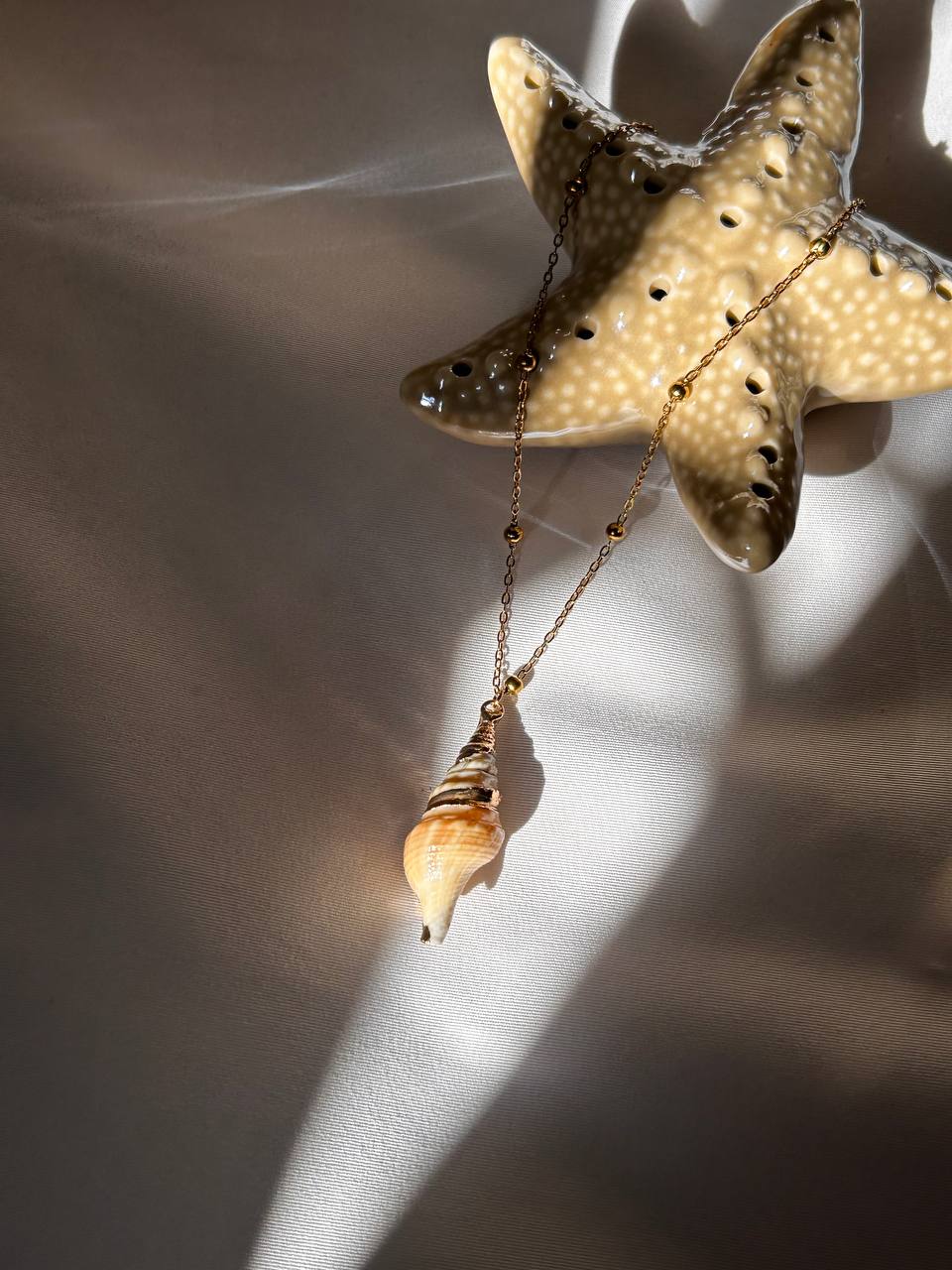 Golden Seashell Treasure Set