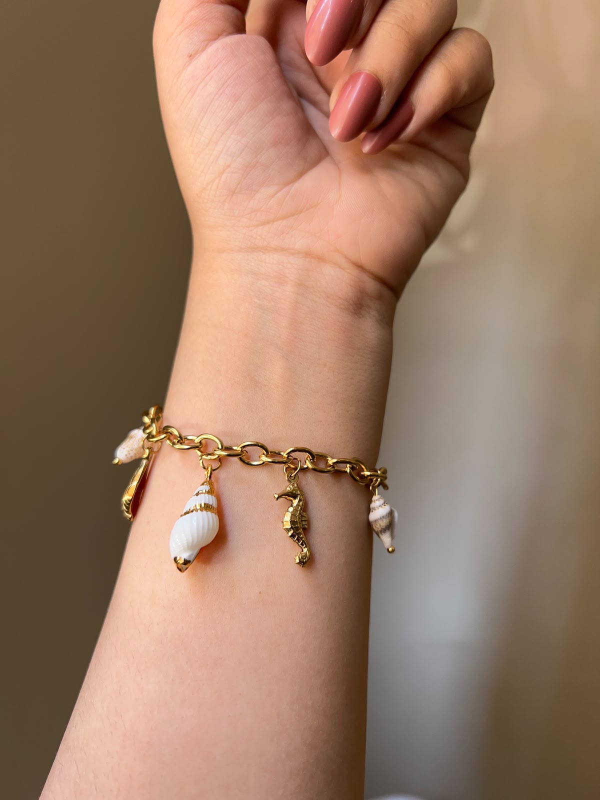 Golden Seashell Treasure Set