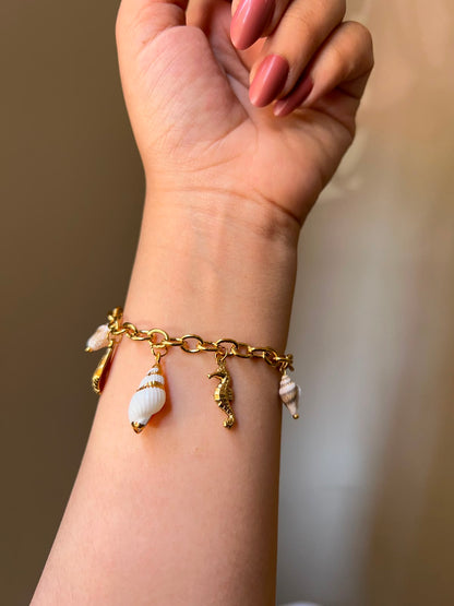 Golden Seashell Treasure Set